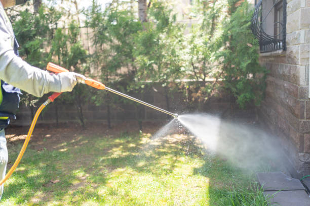 Best Cockroach Control Services  in Centuria, WI