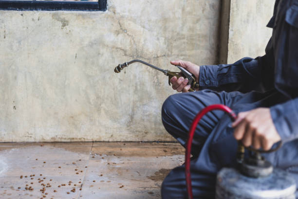Best Best Pest Control Companies  in Centuria, WI